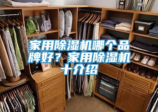 家用杏仁直播app最新版下载哪个品牌好？家用杏仁直播app最新版下载十介绍