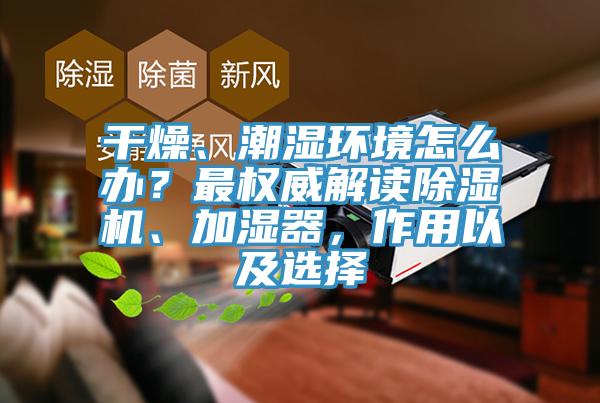 干燥、潮湿环境怎么办？最权威解读杏仁直播app最新版下载、加湿器，作用以及选择