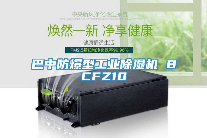 巴中防爆型工业杏仁直播app最新版下载 BCFZ10