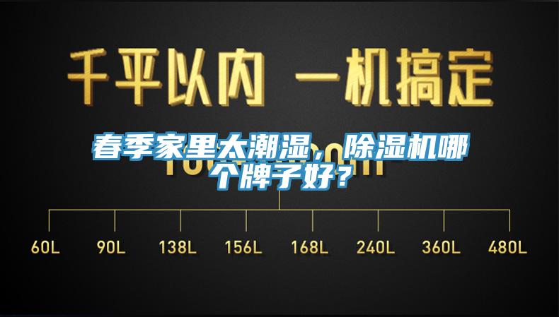 春季家里太潮湿，杏仁直播app最新版下载哪个牌子好？