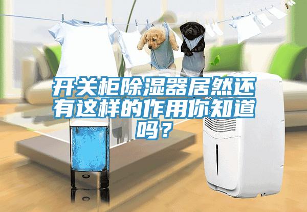 开关柜除湿器居然还有这样的作用你知道吗？