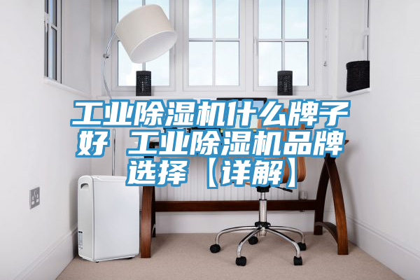 工业杏仁直播app最新版下载什么牌子好 工业杏仁直播app最新版下载品牌选择【详解】