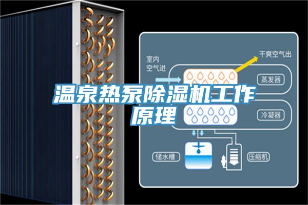 温泉热泵杏仁直播app最新版下载工作原理