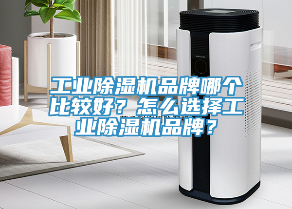 工业杏仁直播app最新版下载品牌哪个比较好？怎么选择工业杏仁直播app最新版下载品牌？