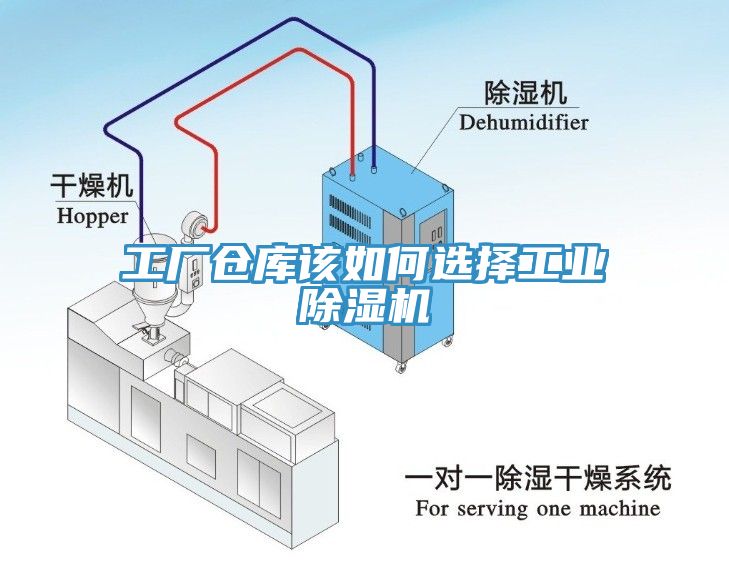 工厂仓库该如何选择工业杏仁直播app最新版下载