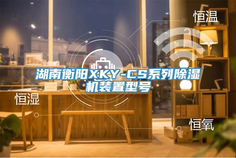 湖南衡阳XKY-CS系列杏仁直播app最新版下载装置型号