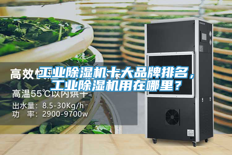 工业杏仁直播app最新版下载十大品牌排名，工业杏仁直播app最新版下载用在哪里？