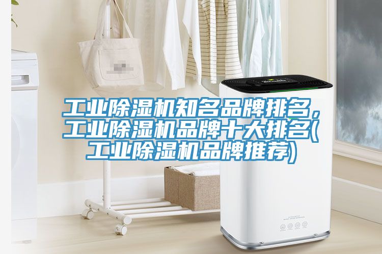 工业杏仁直播app最新版下载知名品牌排名，工业杏仁直播app最新版下载品牌十大排名(工业杏仁直播app最新版下载品牌推荐)