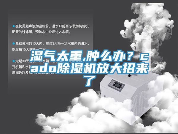 湿气太重,肿么办？cado杏仁直播app最新版下载放大招来了