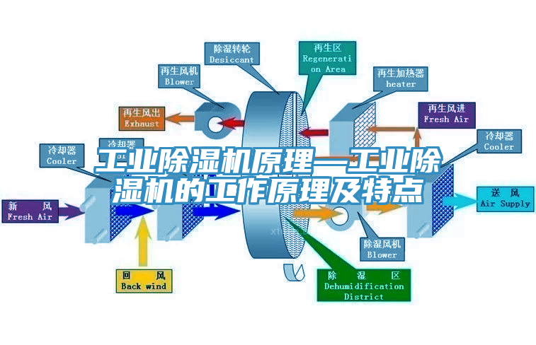 工业杏仁直播app最新版下载原理—工业杏仁直播app最新版下载的工作原理及特点