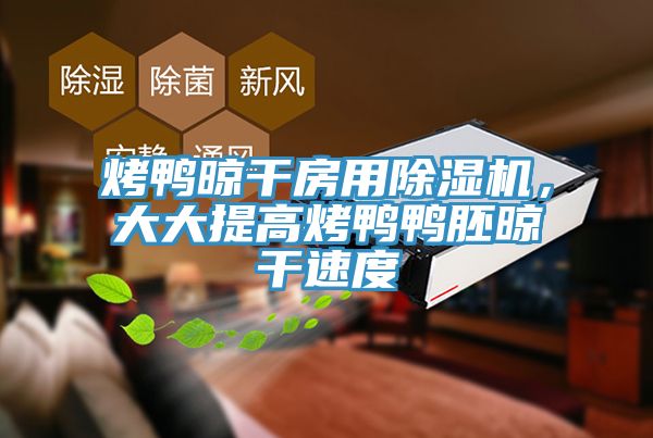 烤鸭晾干房用杏仁直播app最新版下载，大大提高烤鸭鸭胚晾干速度