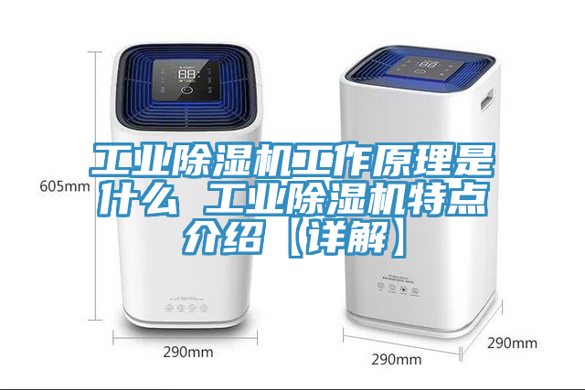 工业杏仁直播app最新版下载工作原理是什么 工业杏仁直播app最新版下载特点介绍【详解】