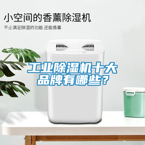 工业杏仁直播app最新版下载十大品牌有哪些？