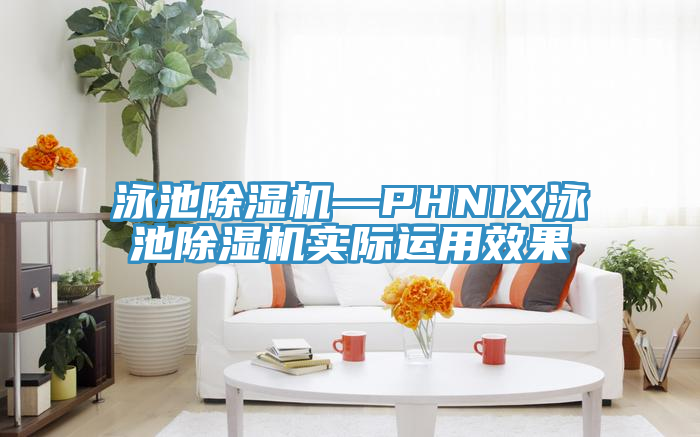 泳池杏仁直播app最新版下载—PHNIX泳池杏仁直播app最新版下载实际运用效果