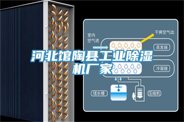 河北馆陶县工业杏仁直播app最新版下载厂家