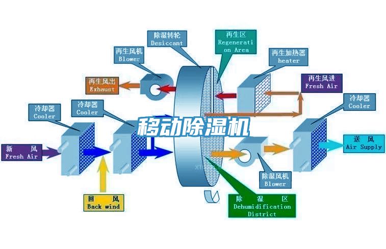 移动杏仁直播app最新版下载