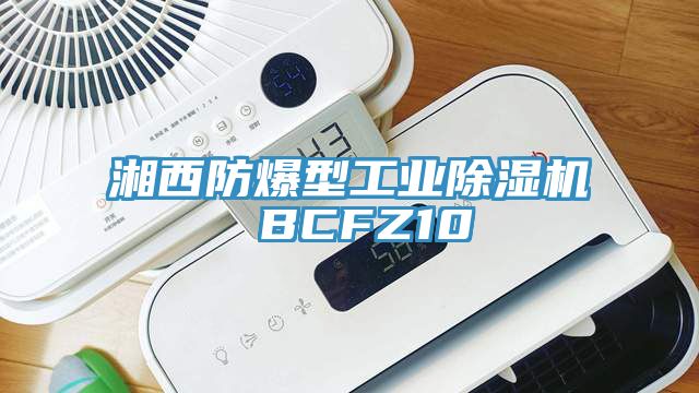 湘西防爆型工业杏仁直播app最新版下载 BCFZ10