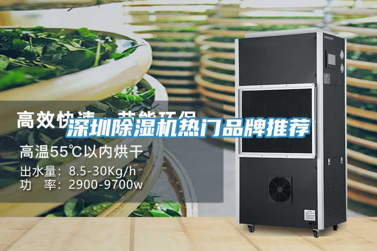 深圳杏仁直播app最新版下载热门品牌推荐