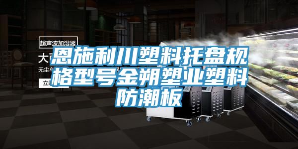 恩施利川塑料托盘规格型号金朔塑业塑料防潮板