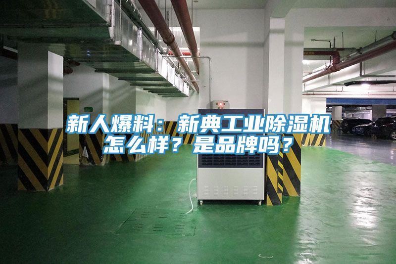 新人爆料：新典工业杏仁直播app最新版下载怎么样？是品牌吗？