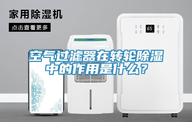 空气过滤器在转轮除湿中的作用是什么？