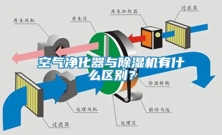 空气净化器与杏仁直播app最新版下载有什么区别？