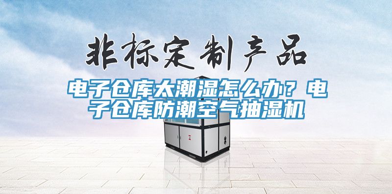 电子仓库太潮湿怎么办？电子仓库防潮空气抽湿机