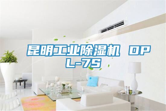 昆明工业杏仁直播app最新版下载 DPL-7S