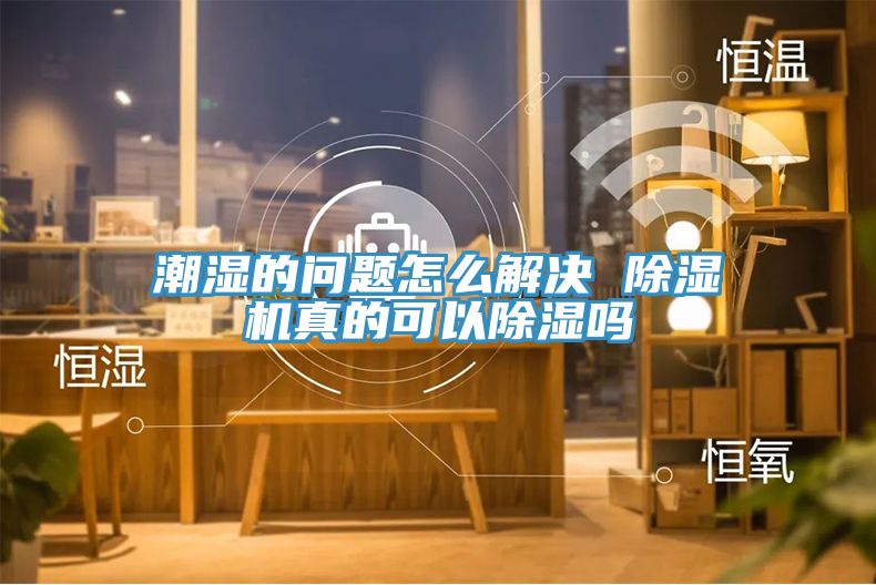 潮湿的问题怎么解决 杏仁直播app最新版下载真的可以除湿吗