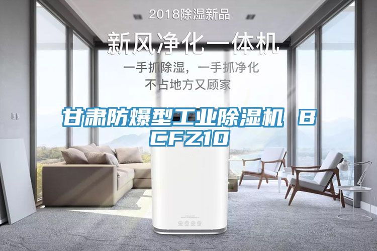 甘肃防爆型工业杏仁直播app最新版下载 BCFZ10