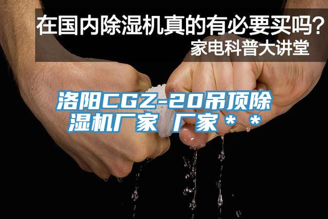 洛阳CGZ-20吊顶杏仁直播app最新版下载厂家 厂家＊＊