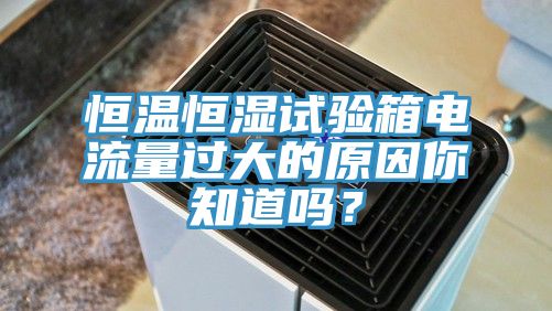 恒温恒湿试验箱电流量过大的原因你知道吗？