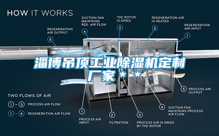 淄博吊顶工业杏仁直播app最新版下载定制 厂家＊＊