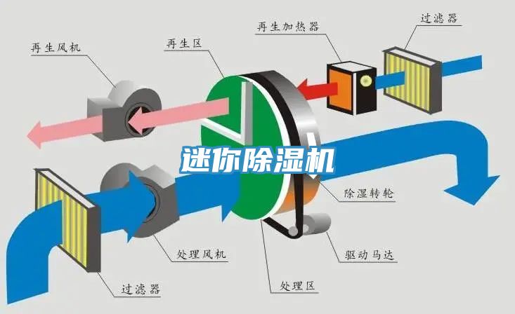 迷你杏仁直播app最新版下载