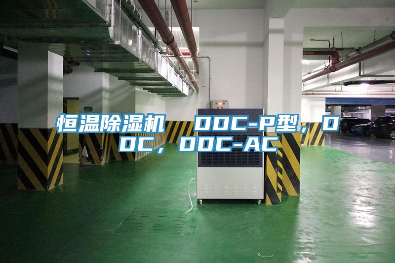 恒温杏仁直播app最新版下载  DDC-P型，DDC，DDC-AC