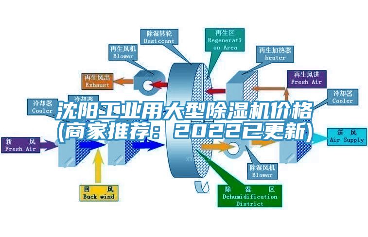 沈阳工业用大型杏仁直播app最新版下载价格(商家推荐：2022已更新)