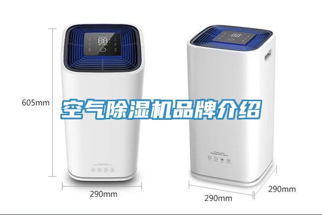 空气杏仁直播app最新版下载品牌介绍