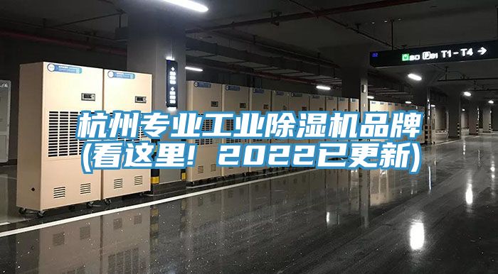 杭州专业工业杏仁直播app最新版下载品牌(看这里! 2022已更新)