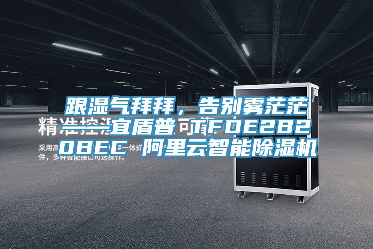 跟湿气拜拜，告别雾茫茫——宜盾普 TFDE2B20BEC 阿里云智能杏仁直播app最新版下载