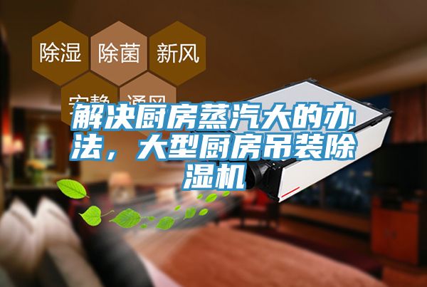 解决厨房蒸汽大的办法，大型厨房吊装杏仁直播app最新版下载