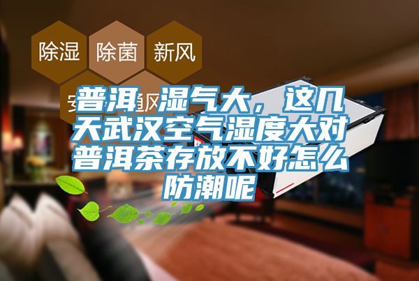 普洱 湿气大，这几天武汉空气湿度大对普洱茶存放不好怎么防潮呢