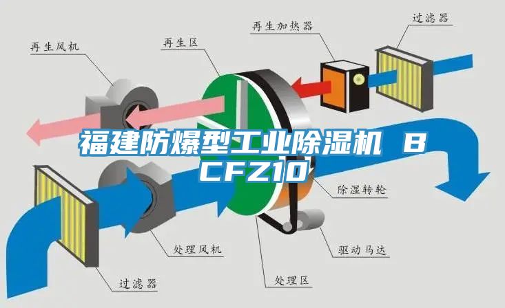 福建防爆型工业杏仁直播app最新版下载 BCFZ10