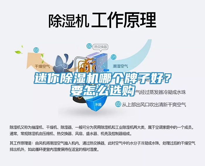 迷你杏仁直播app最新版下载哪个牌子好？要怎么选购