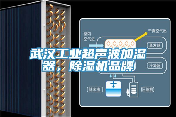 武汉工业超声波加湿器，杏仁直播app最新版下载品牌