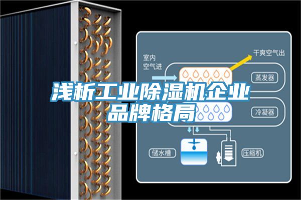 浅析工业杏仁直播app最新版下载企业品牌格局