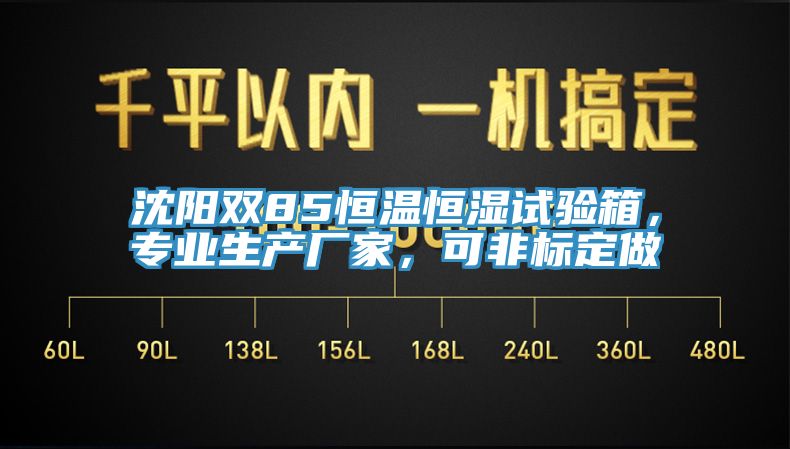 沈阳双85恒温恒湿试验箱，专业生产厂家，可非标定做