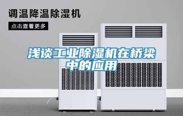 浅谈工业杏仁直播app最新版下载在桥梁中的应用