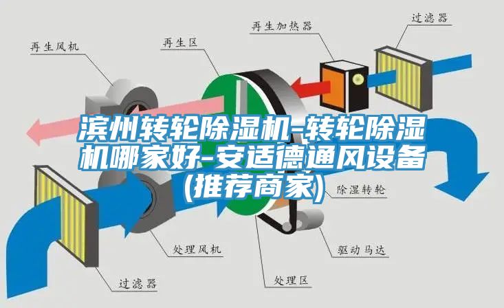 滨州转轮杏仁直播app最新版下载-转轮杏仁直播app最新版下载哪家好-安适德通风设备(推荐商家)