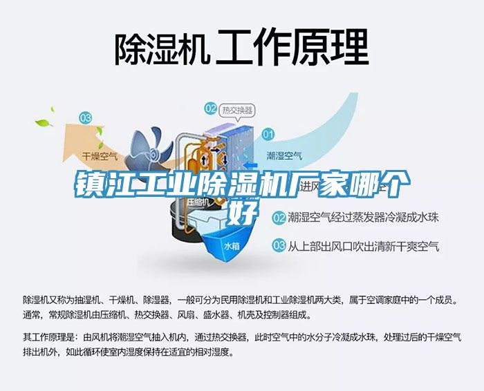 镇江工业杏仁直播app最新版下载厂家哪个好