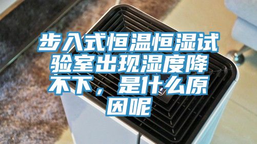 步入式恒温恒湿试验室出现湿度降不下，是什么原因呢